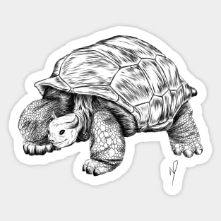 Bull Tortoise Sticker